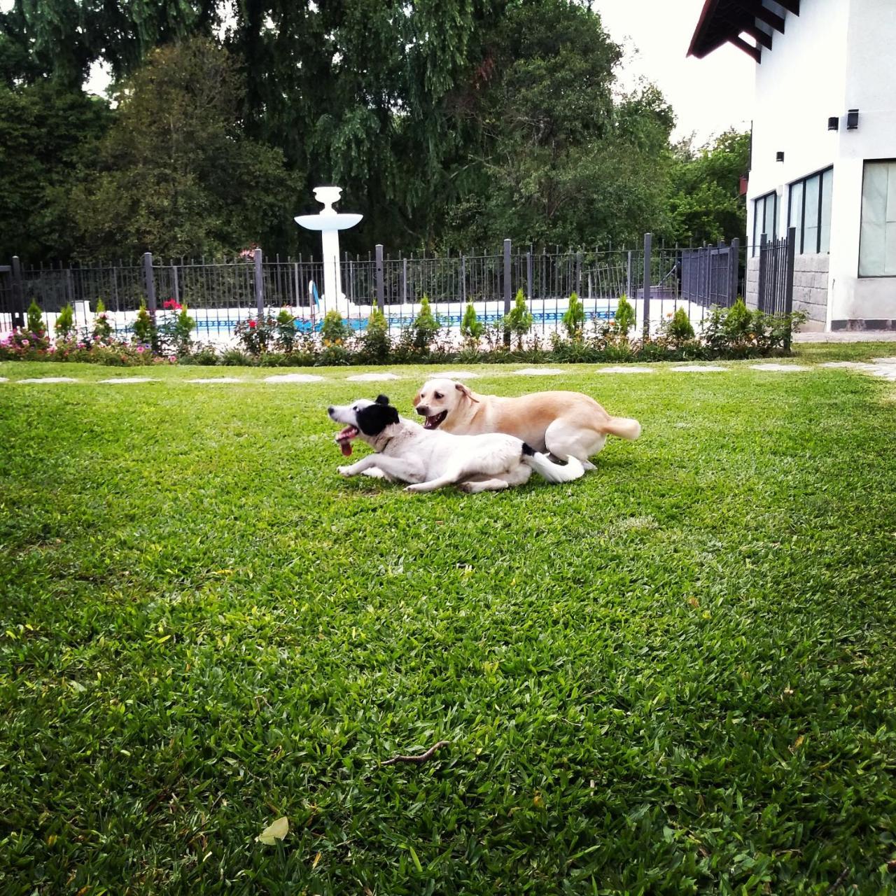 Rancho Grande Hotel Villa General Belgrano Zewnętrze zdjęcie